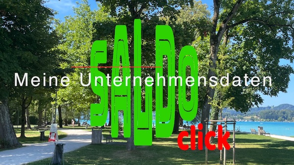 Meine Unternehmensdaten 